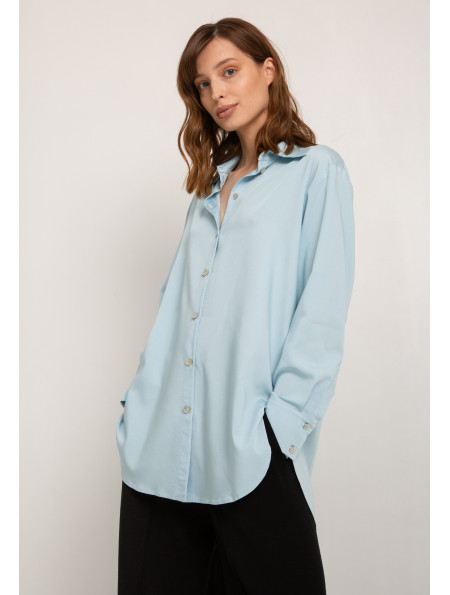 Classic Blue Button-Down Shirt