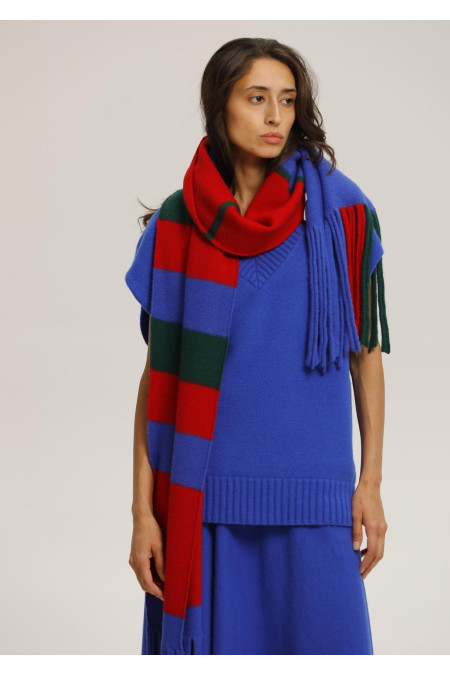 М'який шарф з бахромою синьо-червоний