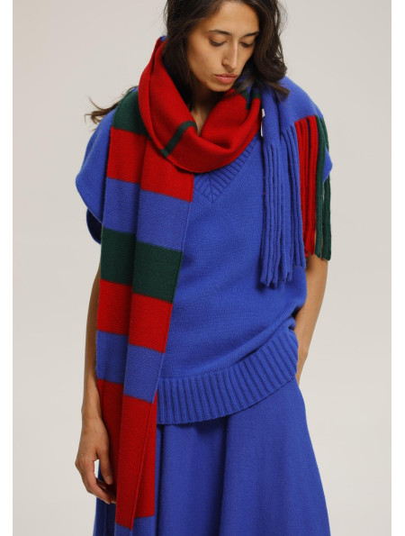 Мягкий шарф с бахромой сине-красный