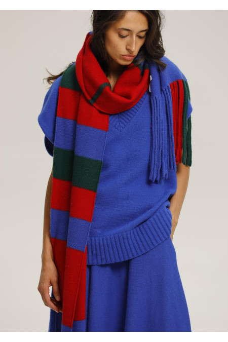 М'який шарф з бахромою синьо-червоний