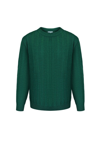 Чоловічий джемпер з косами зелений