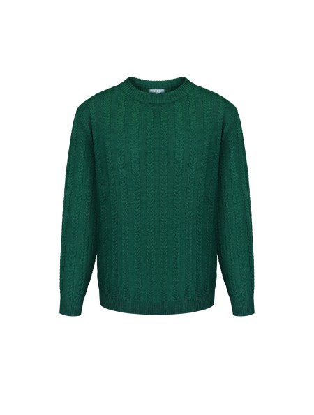 Чоловічий джемпер з косами зелений